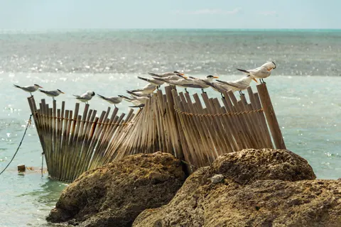 خلفية شاطئ استوائي بدقة 4K · ocean · 3840×2560