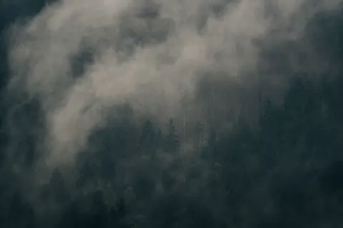 धुंध भरा जंगल 4K वॉलपेपर · minimal · 3840×2560