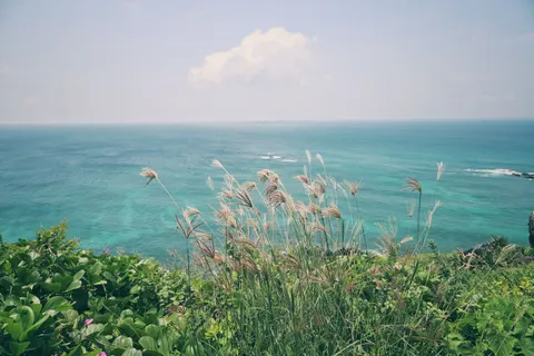 Papel de parede Praia tropical 4K · ocean · 3840×2560
