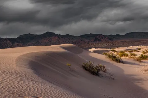 Desert Dunes 4K Wallpaper · nature · 3840×2563