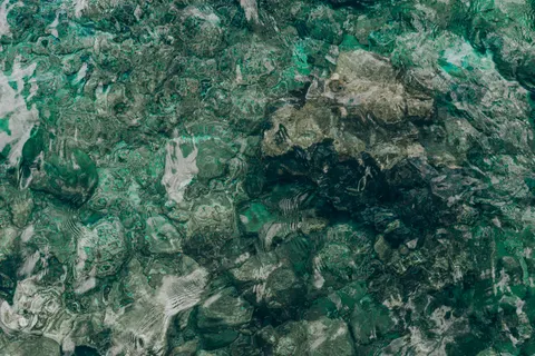 Fond d'écran Récif corallien 4K · ocean · 3840×2560