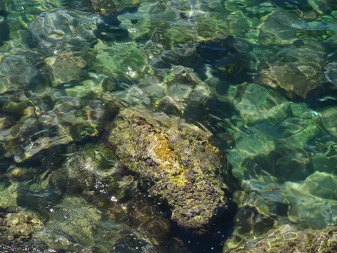Fond d'écran Récif corallien 4K · ocean · 3840×2880