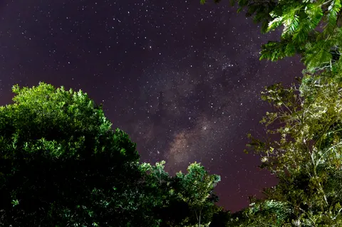繁星夜空 4K壁纸 · space · 3840×2559