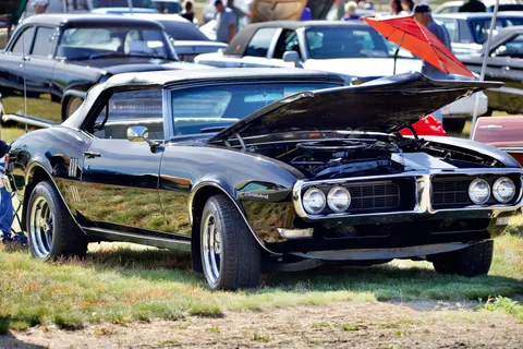 خلفية سيارة عضلية بدقة 4K · cars · 3840×2560