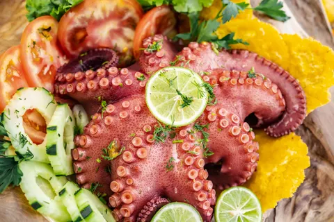 Oktopus 4K Hintergrundbild · animals · 3840×2560