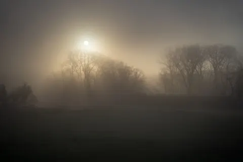 Foggy Forest 4K Wallpaper · nature · 3840×2560