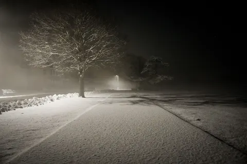 Snowfall 4K Wallpaper · winter · 3840×2560