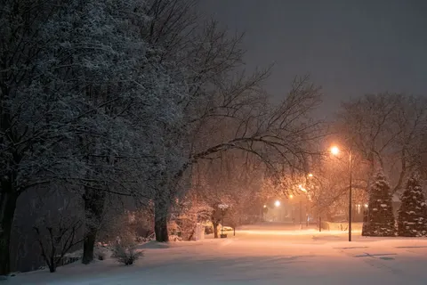 Snowfall 4K Wallpaper · winter · 3840×2560
