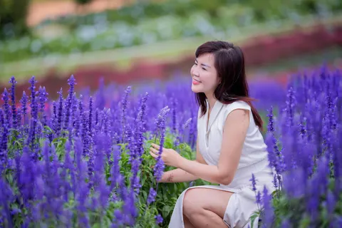라벤더 밭 4K 배경화면 · flowers · 3840×2560