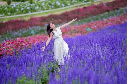 Lavender Field 4K Wallpaper · flowers · 3840×2560