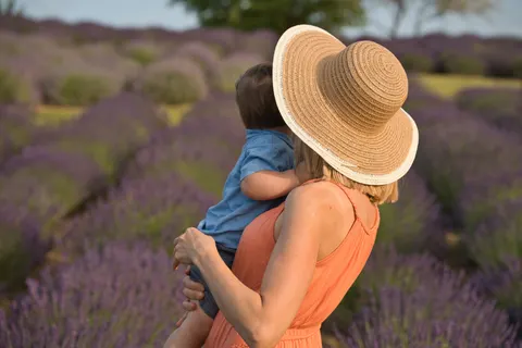 خلفية حقل الخزامى بدقة 4K · flowers · 3840×2560