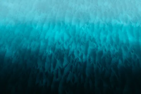Обои Глубокий синий 4K · underwater · 3840×2560