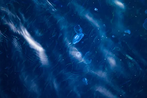 गहरा नीला 4K वॉलपेपर · underwater · 3840×2560