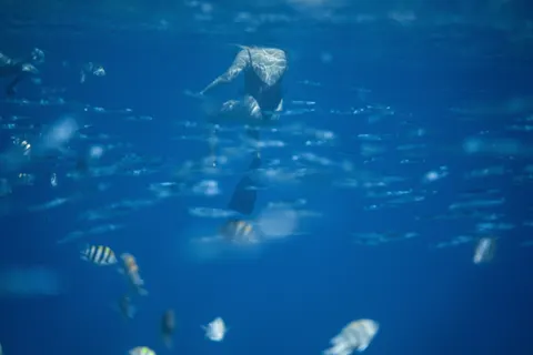Deep Blue 4K Wallpaper · underwater · 3840×2561