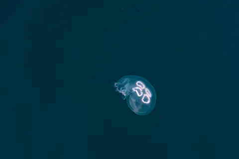Обои Глубокий синий 4K · underwater · 3840×2560
