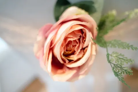 玫瑰 4K壁纸 · flowers · 3840×2561