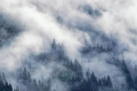 Fondo de pantalla Bosque con niebla 4K · nature · 3840×2560