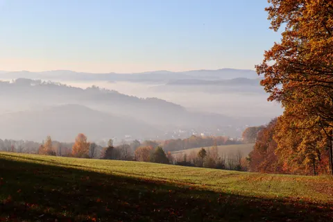 Nebliger Wald 4K Hintergrundbild · nature · 3840×2560