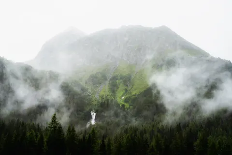 안개 낀 숲 4K 배경화면 · nature · 3840×2560