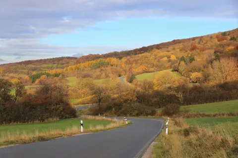 Fondo de pantalla Bosque de otoño 4K · nature · 3840×2560