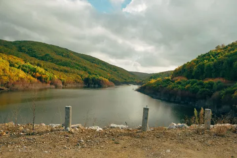 Обои Осенний лес 4K · nature · 3840×2560
