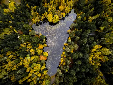 가을 숲 4K 배경화면 · nature · 3840×2880