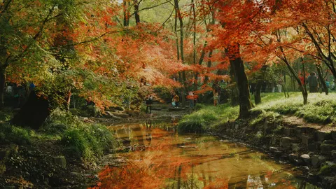 가을 숲 4K 배경화면 · nature · 3840×2160