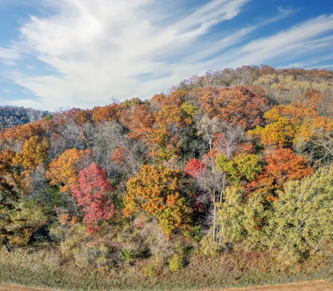 秋日森林 4K壁纸 · nature · 3840×3353