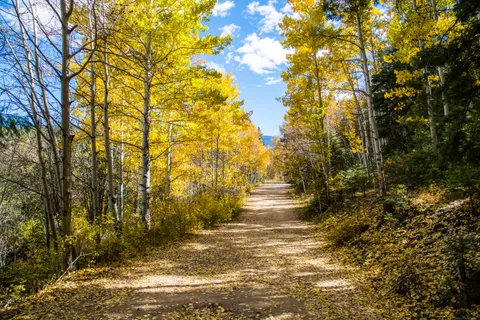 Herbstwald 4K Hintergrundbild · nature · 3840×2560