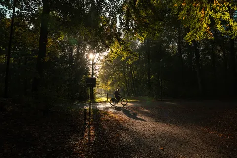 Herbstwald 4K Hintergrundbild · nature · 3840×2561