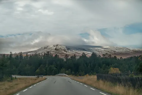 가을 숲 4K 배경화면 · nature · 3840×2561