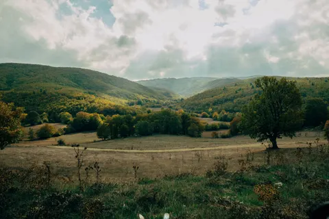 Fondo de pantalla Bosque de otoño 4K · nature · 3840×2560