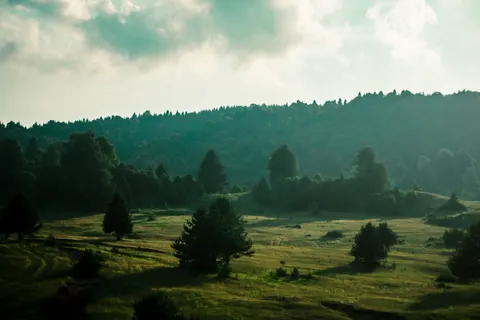 绿色丘陵 4K壁纸 · nature · 3840×2560