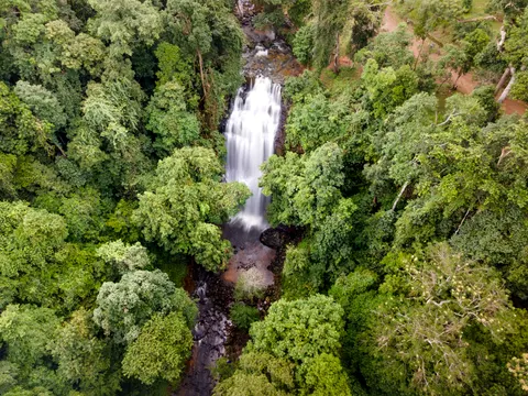 Jungle Waterfall 4K Wallpaper · waterfall · 3840×2880