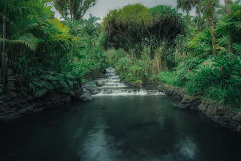 जंगल का झरना 4K वॉलपेपर · waterfall · 3840×2560