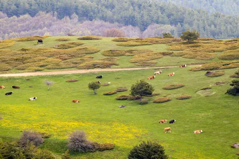 Green Hills 4K Wallpaper · nature · 3840×2560