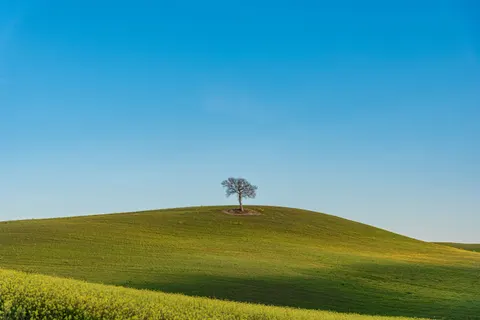 Fond d'écran Collines vertes 4K · nature · 3840×2563