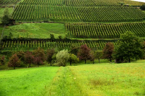 Green Hills 4K Wallpaper · nature · 3840×2563