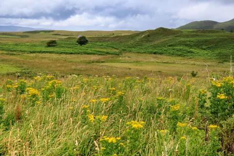 Green Hills 4K Wallpaper · nature · 3840×2561