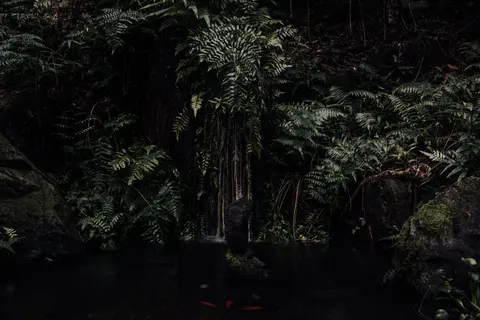 जंगल का झरना 4K वॉलपेपर · waterfall · 3840×2560