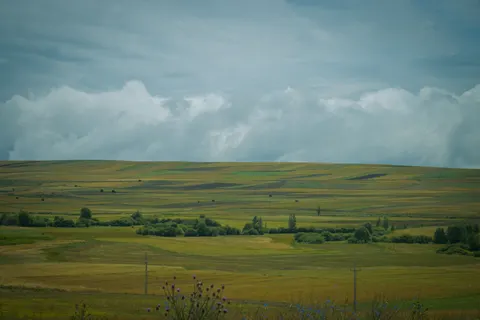 초록 언덕 4K 배경화면 · nature · 3840×2560
