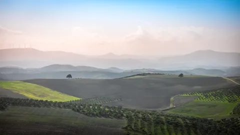 Обои Зелёные холмы 4K · nature · 3840×2160