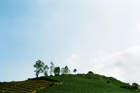 Green Hills 4K Wallpaper · nature · 3840×2547
