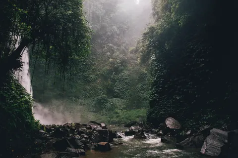 जंगल का झरना 4K वॉलपेपर · waterfall · 3840×2560