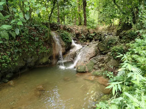 Jungle Waterfall 4K Wallpaper · waterfall · 3840×2880