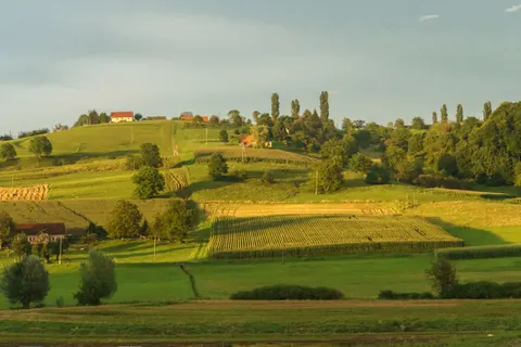 خلفية تلال خضراء بدقة 4K · nature · 3840×2560