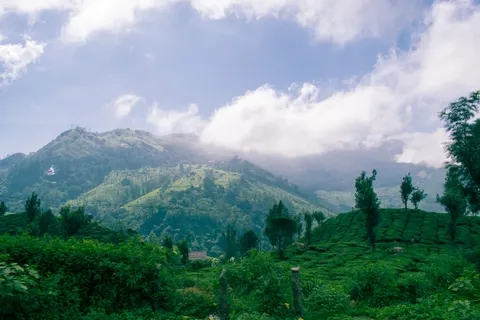 Fond d'écran Collines vertes 4K · nature · 3840×2560