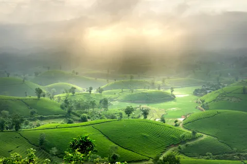 خلفية تلال خضراء بدقة 4K · nature · 3840×2560