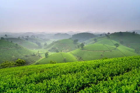 Fond d'écran Collines vertes 4K · nature · 3840×2561