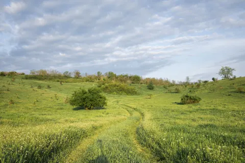 Fond d'écran Collines vertes 4K · nature · 3840×2560